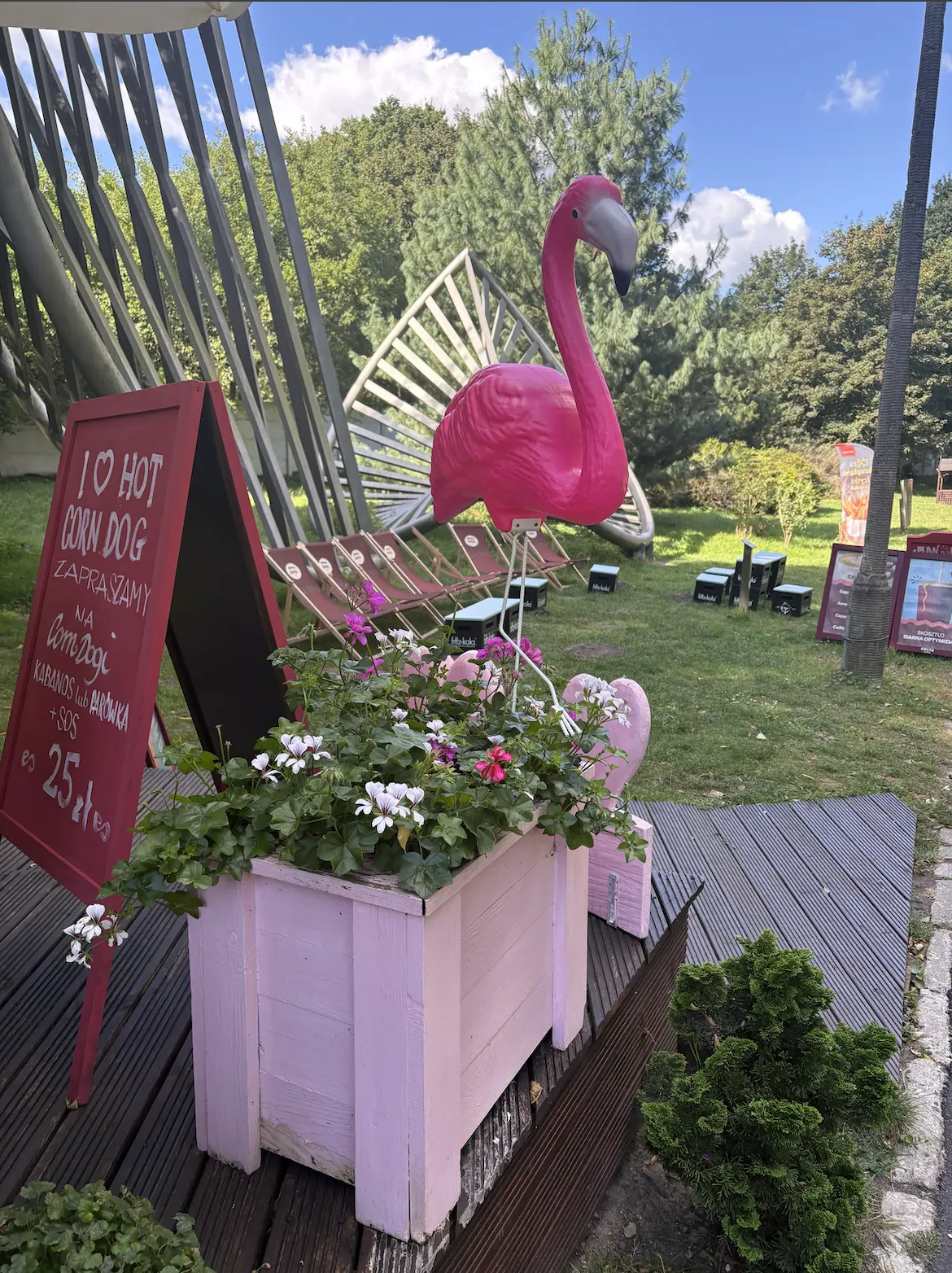 Flaming w Cafe Flaming w Nowym Zoo Poznań