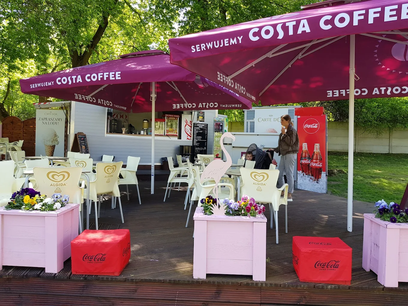 Lody w Nowym Zoo Poznań